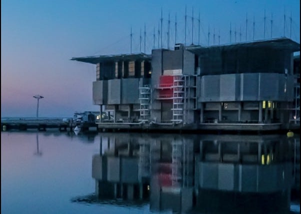 Imagen de la salida de natación del TRITON Lisboa