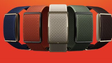 Polar presenta Polar Loop