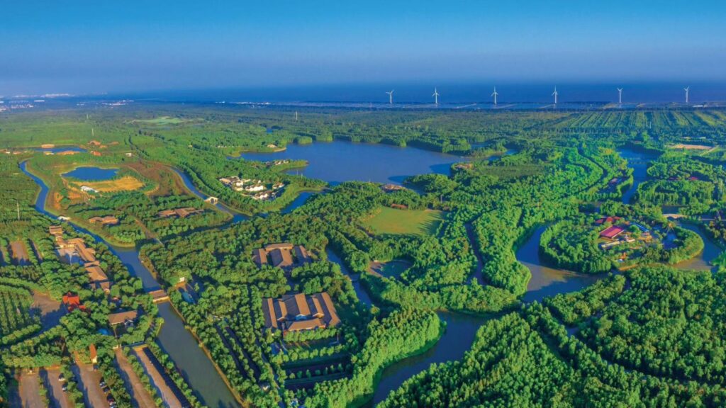 Vista aérea del entorno natural de Challenge Shanghai 2026 en Fengxian, Shanghái