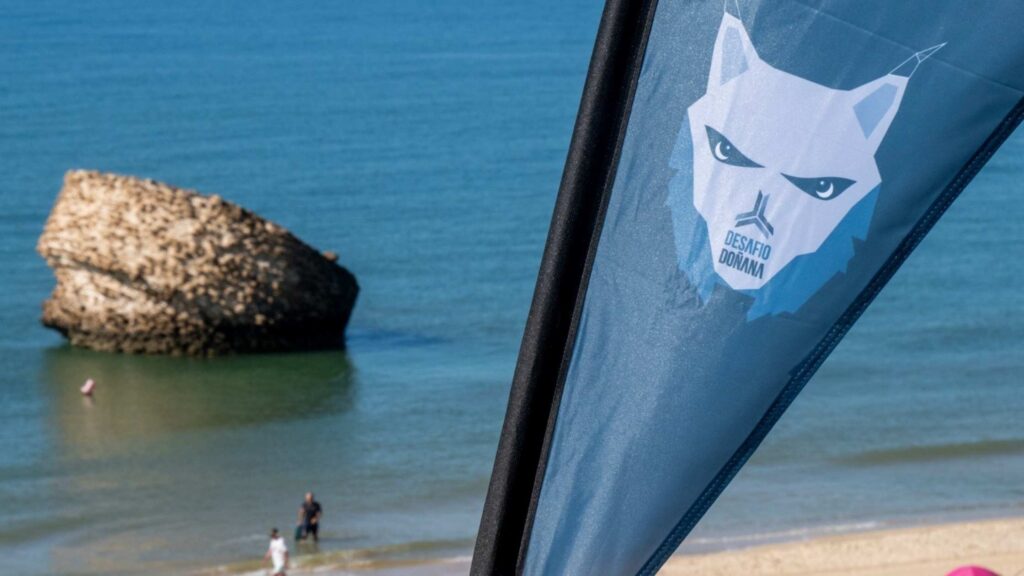 Bandera del Desafío Doñana en la playa de Matalascañas