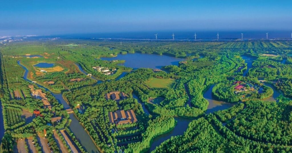 Vista aérea de canales, zonas verdes y aerogeneradores en el entorno de Challenge Shanghai