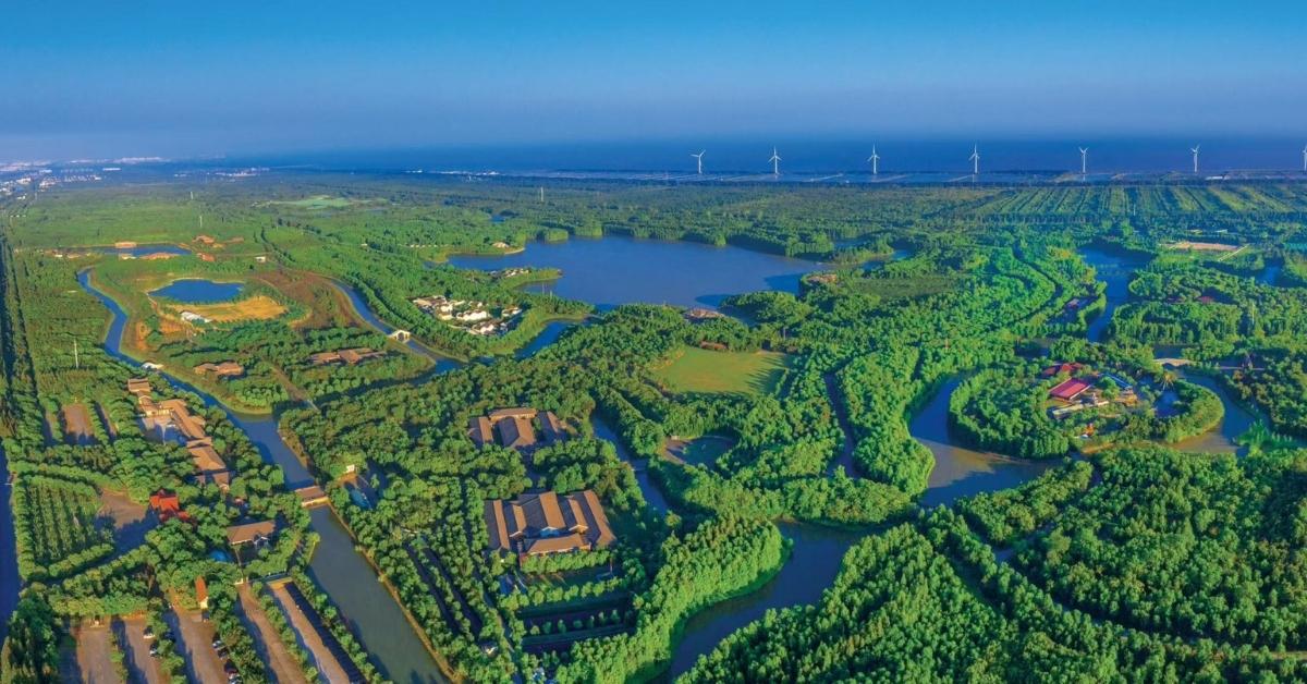 Vista aérea de canales, zonas verdes y aerogeneradores en el entorno de Challenge Shanghai
